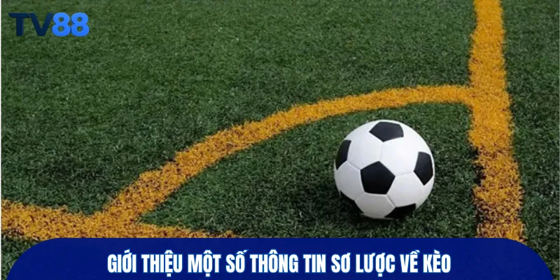 Giới thiệu một số thông tin sơ lược về kèo