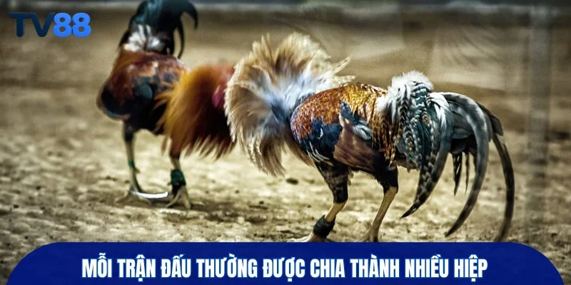 Mỗi trận đấu thường được chia thành nhiều hiệp