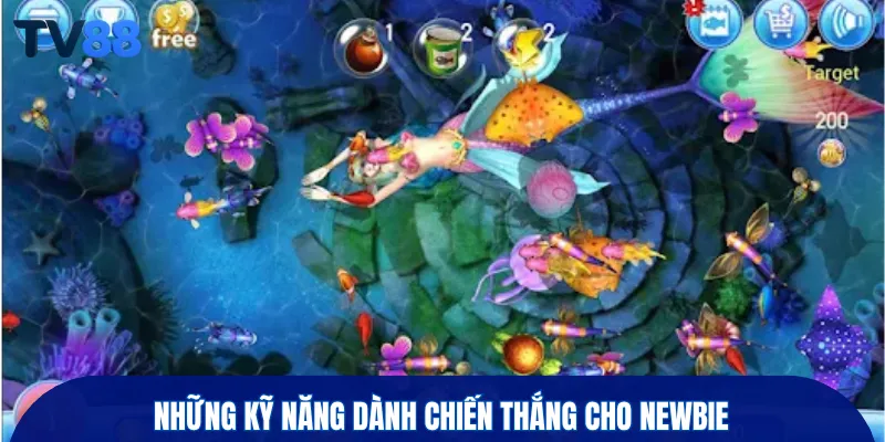 Những kỹ năng dành chiến thắng cho newbie